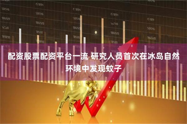 配资股票配资平台一流 研究人员首次在冰岛自然环境中发现蚊子